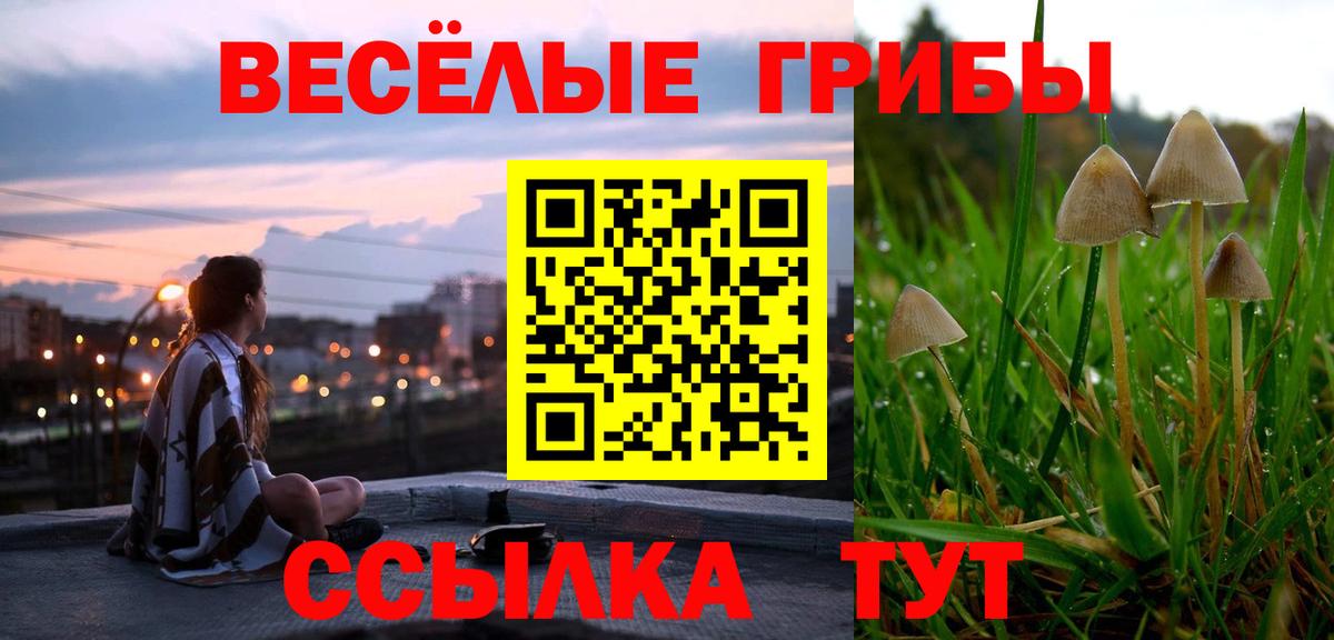 Галлюциногенные грибы ЛСД Карталы