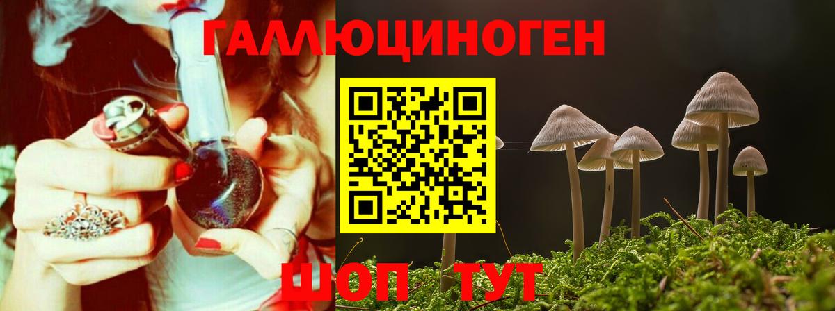 Псилоцибиновые грибы Magic Shrooms  Вход с VPN  Псилоцибиновые грибы GOLDEN TEACHER  Карталы 